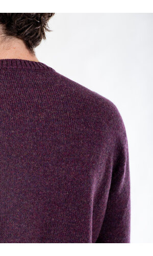 Scaglione Scaglione Pullover / UDM100 / Wein