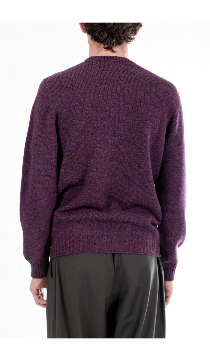 Scaglione Scaglione Pullover / UDM100 / Wein