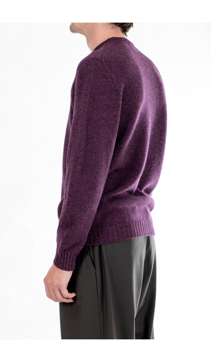 Scaglione Scaglione Pullover / UDM100 / Wein