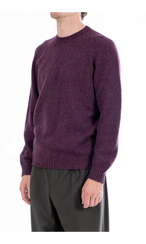 Scaglione Scaglione Pullover / UDM100 / Wein