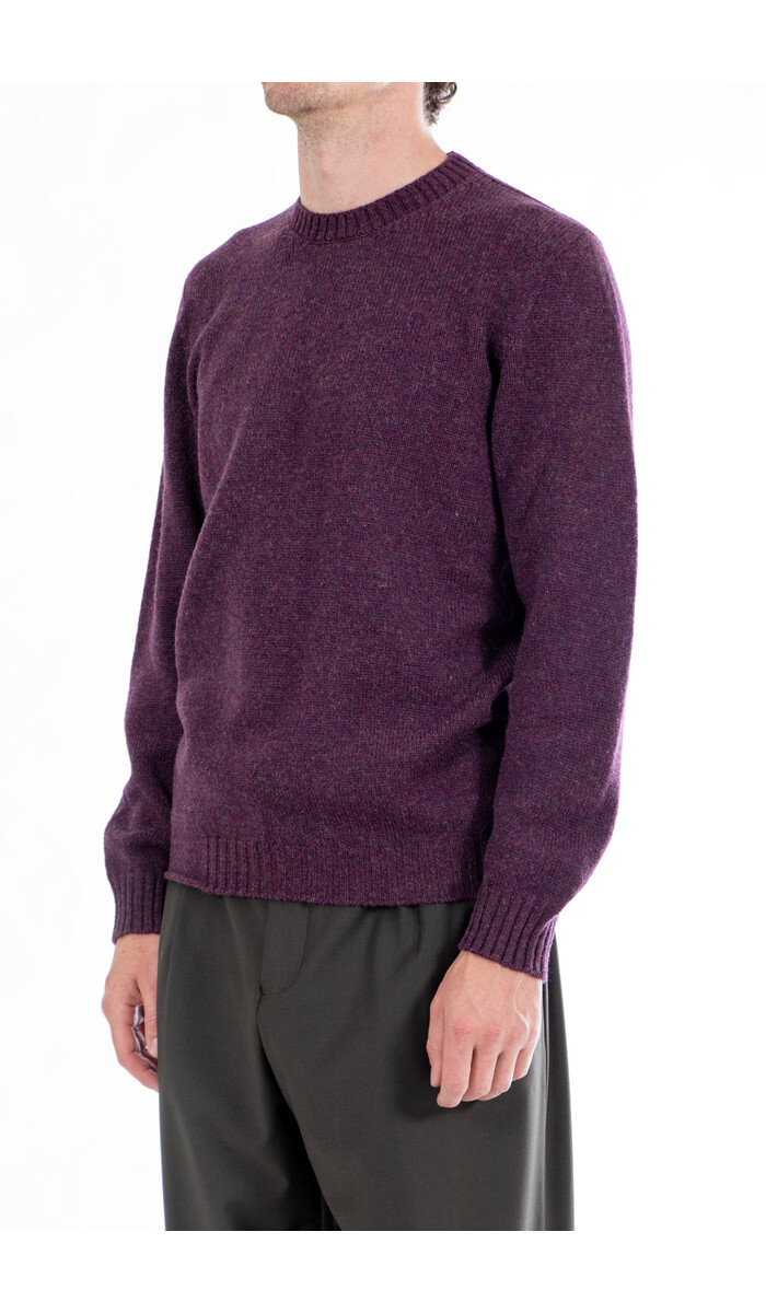 Scaglione Scaglione Pullover / UDM100 / Wein