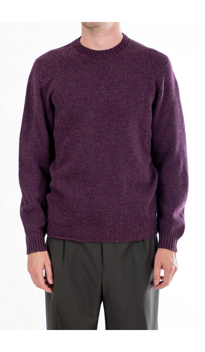 Scaglione Scaglione Pullover / UDM100 / Wein