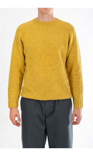 Delikatessen Delikatessen Trui / Raglan Fluffy / Mosterd