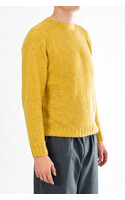 Delikatessen Trui / Raglan Fluffy / Mosterd