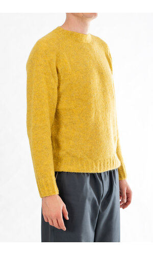 Delikatessen Delikatessen Trui / Raglan Fluffy / Mosterd Delikatessen Delikatessen Trui / Raglan Fluffy / Mosterd