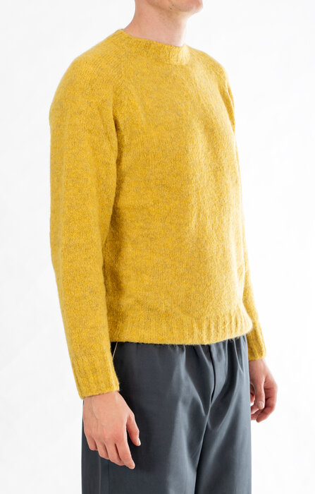 Delikatessen Delikatessen Pullover / Raglan Fluffy / Senf