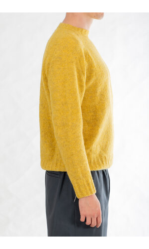 Delikatessen Delikatessen Trui / Raglan Fluffy / Mosterd