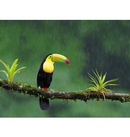 Specialized 04 Specialized SJ FSR BRG Kit1