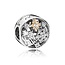 Pandora PANDORA Bedel 796363CZ