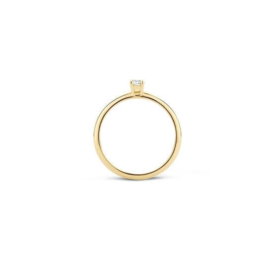 Blush BLUSH 14k geelgouden ring met 1 zirkonia in chaton 4mm 1112YZI