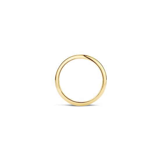 Blush BLUSH 14k geelgouden ring gladde bolle scheen 2 mm breed 1117YGO