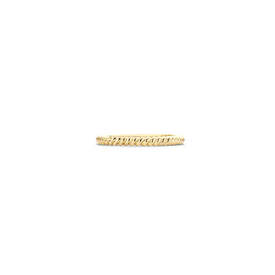 Blush BLUSH 14k geelgouden ring gedraaide scheen 2 mm 1118YGO