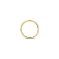 Blush BLUSH 14k geelgouden ring gedraaide scheen 2 mm 1118YGO