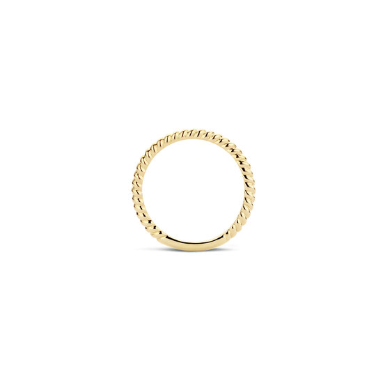 Blush BLUSH 14k geelgouden ring gedraaide scheen 2 mm 1118YGO