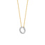 Blush BLUSH Geelgouden collier met vast rond hangertje witgoud met zirconia's 3065BZI