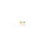 Blush BLUSH 14k. Geelgouden oorstekers bolletje 4mm.
