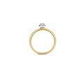 Blush BLUSH 14krt geelgouden ring met entourage blanke zirkonia 1131BZI (UITLOPEND)