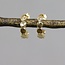Jéh Jewels Jéh Jewels Oorstekers 20466