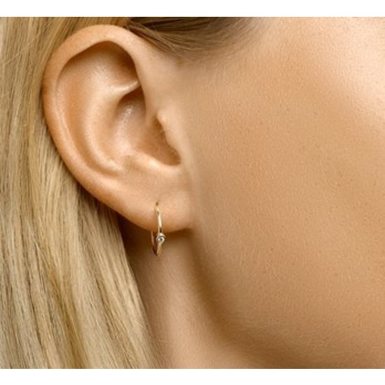 Collectie Milikan 14 karaat geelgouden stekeroorringen uitgevoerd met een schitterende zirkonia. De oorstekers hebben een afmeting van 13.5x2.5mm 1050100.