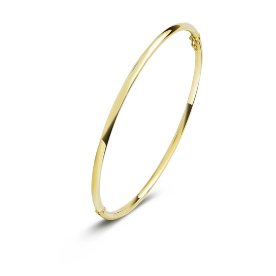 Fjory Fjory Bangle 40-A306102,5  14krt geelgoud rond 2.5mm met zilveren kern, 61mm en veiligheidsachtje aan binnenzijde