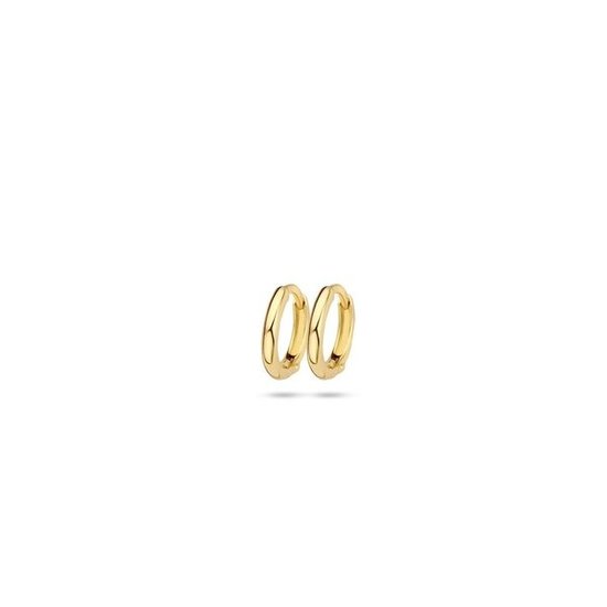 Blush BLUSH 14krt geelgouden klapcreolen 10 mm 7232YGO