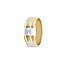 by R&C R&C Zoe 14 karaat geelgouden ring met diamant 0.05crt. R/SI maat 54. RIN0053S