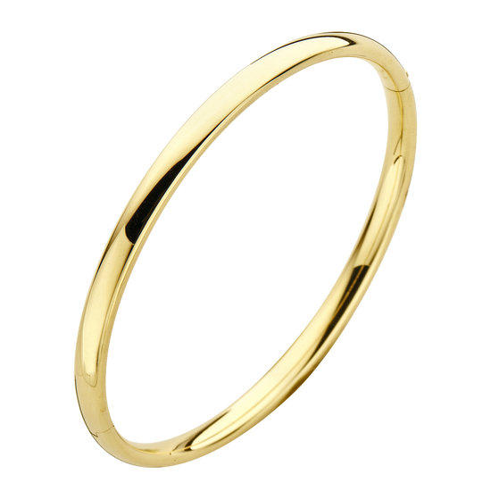 Fjory Fjory Bangle 4mm 40-A356104, 14 karaat geelgoud ovaal met massief zilveren  kern, 61 mm, scharnier en dubbele veiligheidsklik.