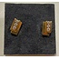 Excellent Jewelry Excellent OX123628 14krt geelgoud oorknoppen rechthoek, met zirkonia's.
