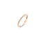Blush BLUSH 14k roségouden ring bolletjesscheen 2 mm 1105RGO