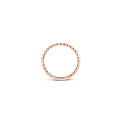 Blush BLUSH 14k roségouden ring bolletjesscheen 2 mm   (UITLOPEND) 1105RGO