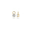 BLUSH BLUSH 14k geelgouden creoolhangers 9026YZI met zirkonia 6mm