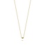 BLUSH BLUSH 14krt geelgouden collier 3120YGO