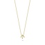 Blush BLUSH 14krt Geelgouden collier met staafjes 3122YZI