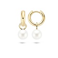 Blush BLUSH 14krt. Geelgouden oorbedels parel 9023YPW