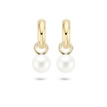 Blush BLUSH 14krt. Geelgouden oorbedels parel 9023YPW