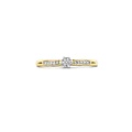 Blush Diamonds BLUSH Diamonds14krt bicolor ring, met tot. 0.12crt H/SI incl scheen