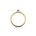 Blush Diamonds BLUSH Diamonds 14krt Geelgouden Ring met tot. 0.20crt 1658BDI