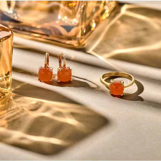 Jarrèl Jewelry JARREL 4Y.3319.CAC 14krt geelgouden ring Los Angeles petit met carneool, maat 54