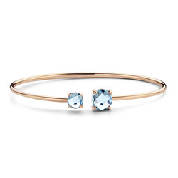 JARREL 14krt geelgouden armband Rimini bangle met 2x blauw topaas  4Y.7111.TOS