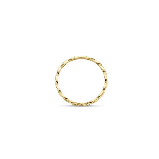 Blush BLUSH 14k Geelgouden Ring 1220YGO, gevlochten