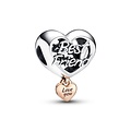 Pandora PANDORA Best Friend silver and 14k rose gold-plated Charm 782243C00