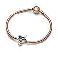 Pandora PANDORA Best Friend silver and 14k rose gold-plated Charm 782243C00