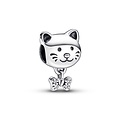 Pandora PANDORA Cat silver charm with zirconia 792255C01