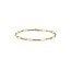 BLUSH BLUSH 14krt Geelgouden Armband 2190YGO
