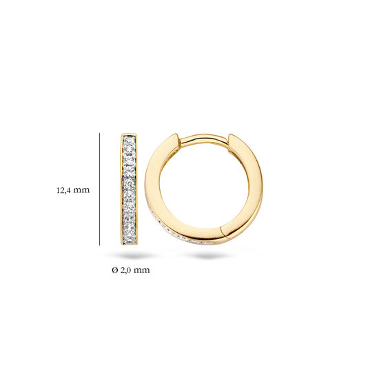 Blush Blush 14krt geelgouden klapcreolen 7163BZI met zirconia's