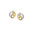 Collectie Milikan Huiscollectie 14k Oorstekers bicolor 1053454