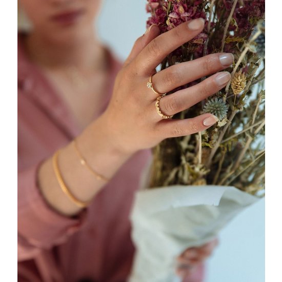 Collectie Milikan Huiscollectie 14krt geelgouden ring met 9x diamant, tot. 0.08ct H/SI, 1054677