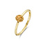 Blush BLUSH 14k Geelgouden ring met cirtrien 1226YCI