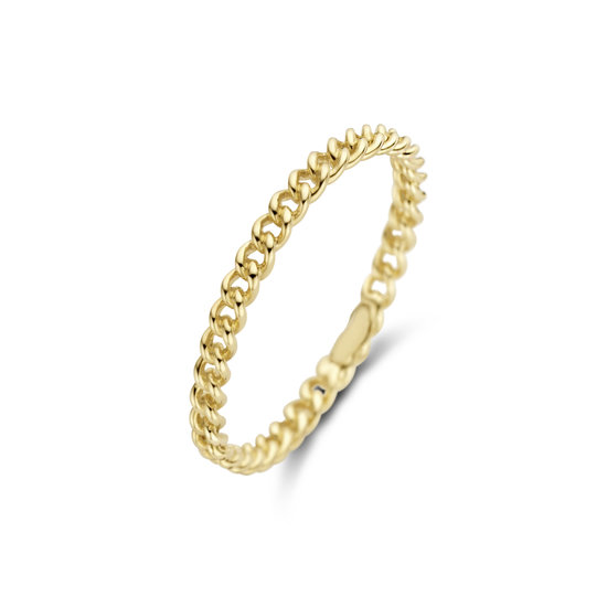 Blush BLUSH 14k Geelgouden ring 1229YGO fijne schakeldraad