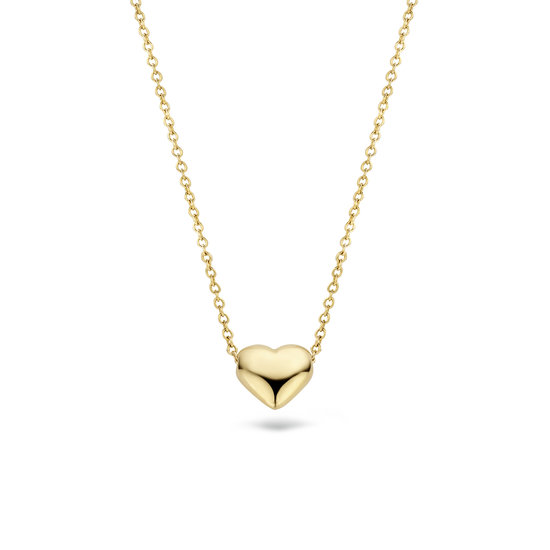 Blush BLUSH 14k Geelgouden collier met hartje 3062YGO